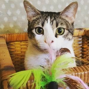 Meet your Posher, Beverly